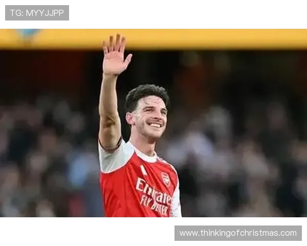 赖斯比赛决策与战术角色是否被高估